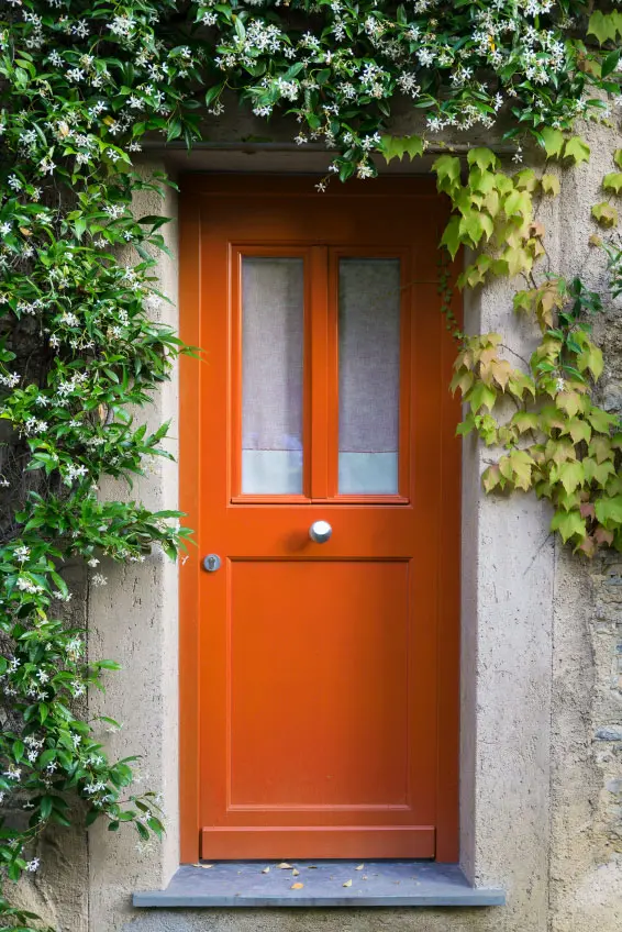 painted house door