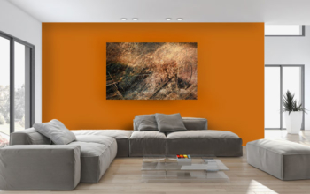 Inspiration: Bright Orange Accent Wall