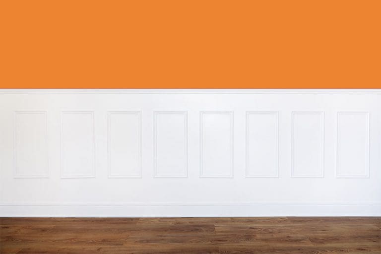 Paint Color Tangerine HOMMCPS